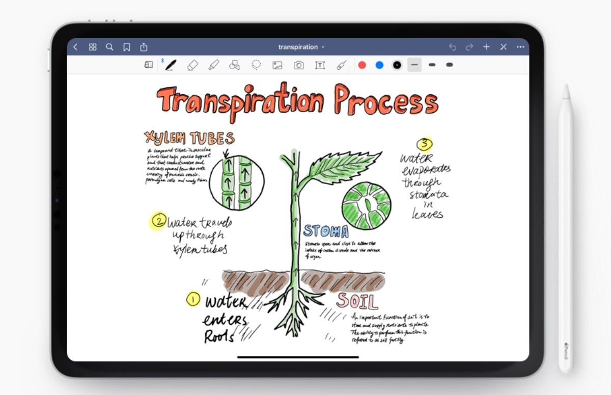 Economie Convergeren St Overzicht: de 5 beste iPad notitie-apps voor de Apple Pencil