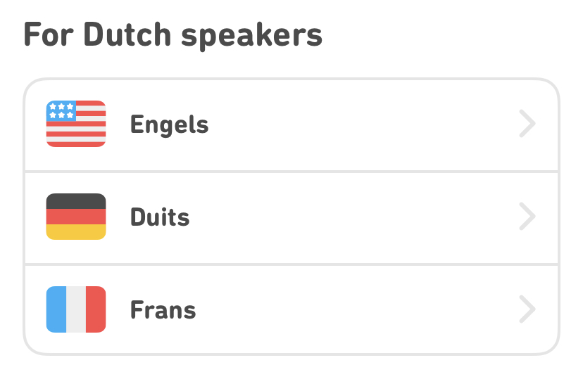 duolingo gids