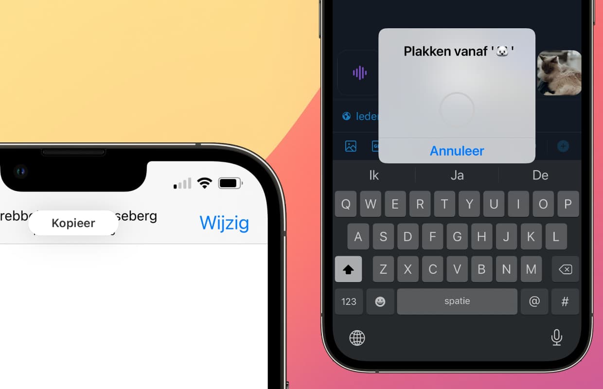 Transfer photos between iPhone and iPad: this is how you do it super fast Transfer photos between iPhone and iPad: this is how you do it super fast