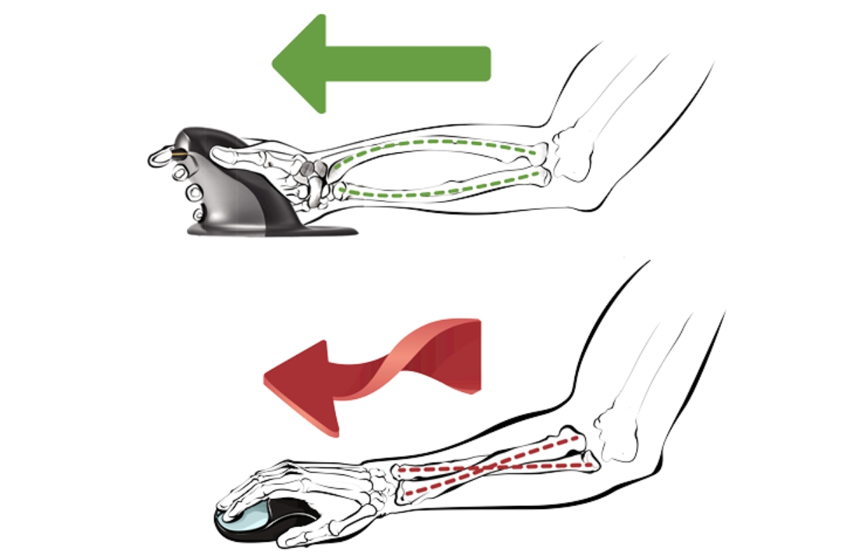 Fellowes Penguin: Ergonomic mouse that prevents RSI complaints Fellowes Penguin: Ergonomic mouse that prevents RSI complaints