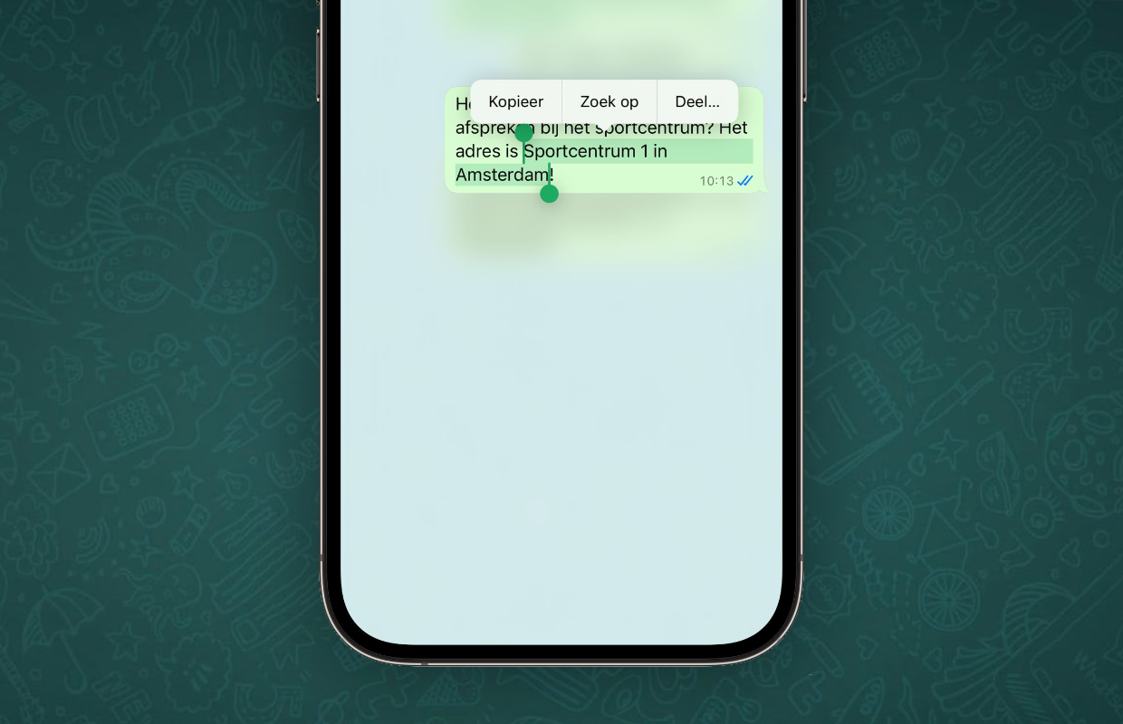 Select WhatsApp Text