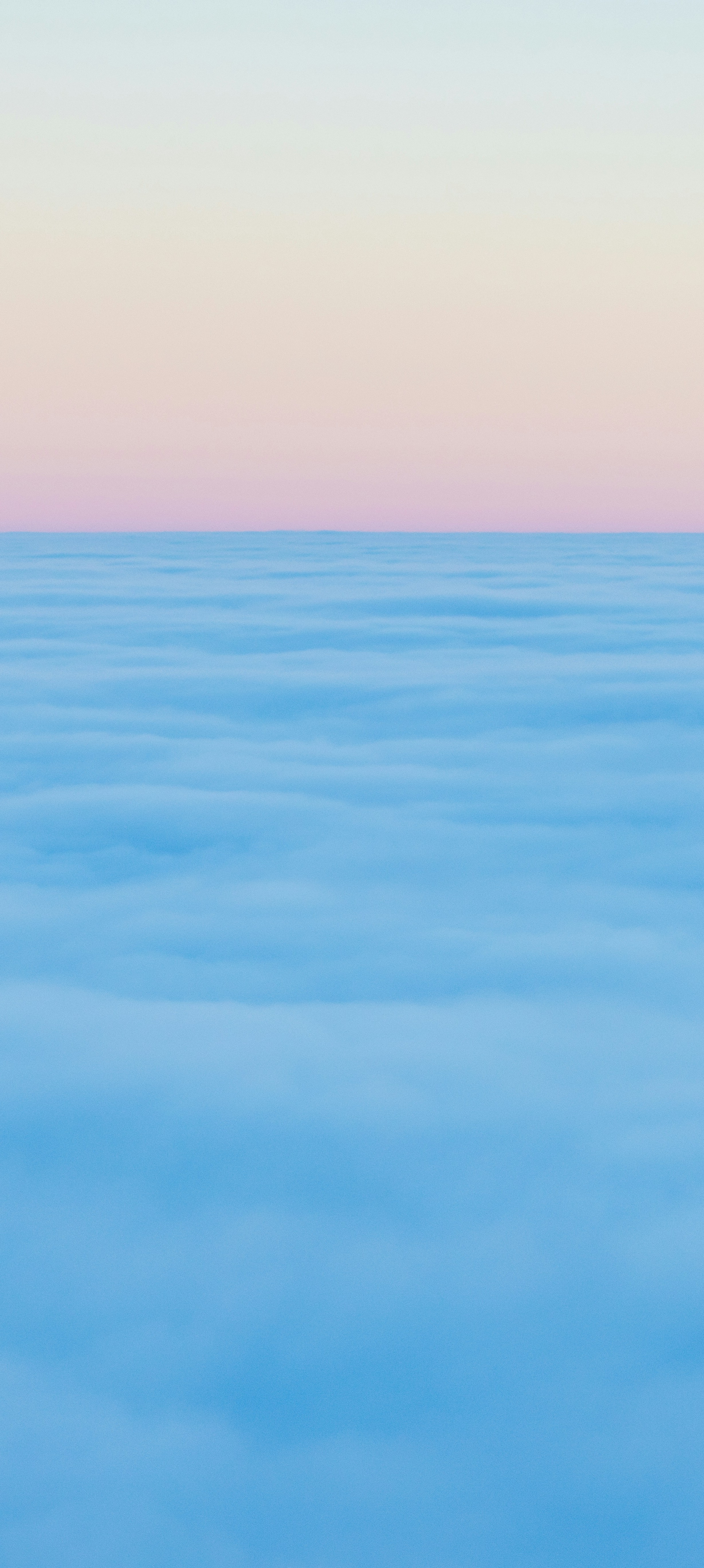 Wallpaper Weekly 31 2025 4