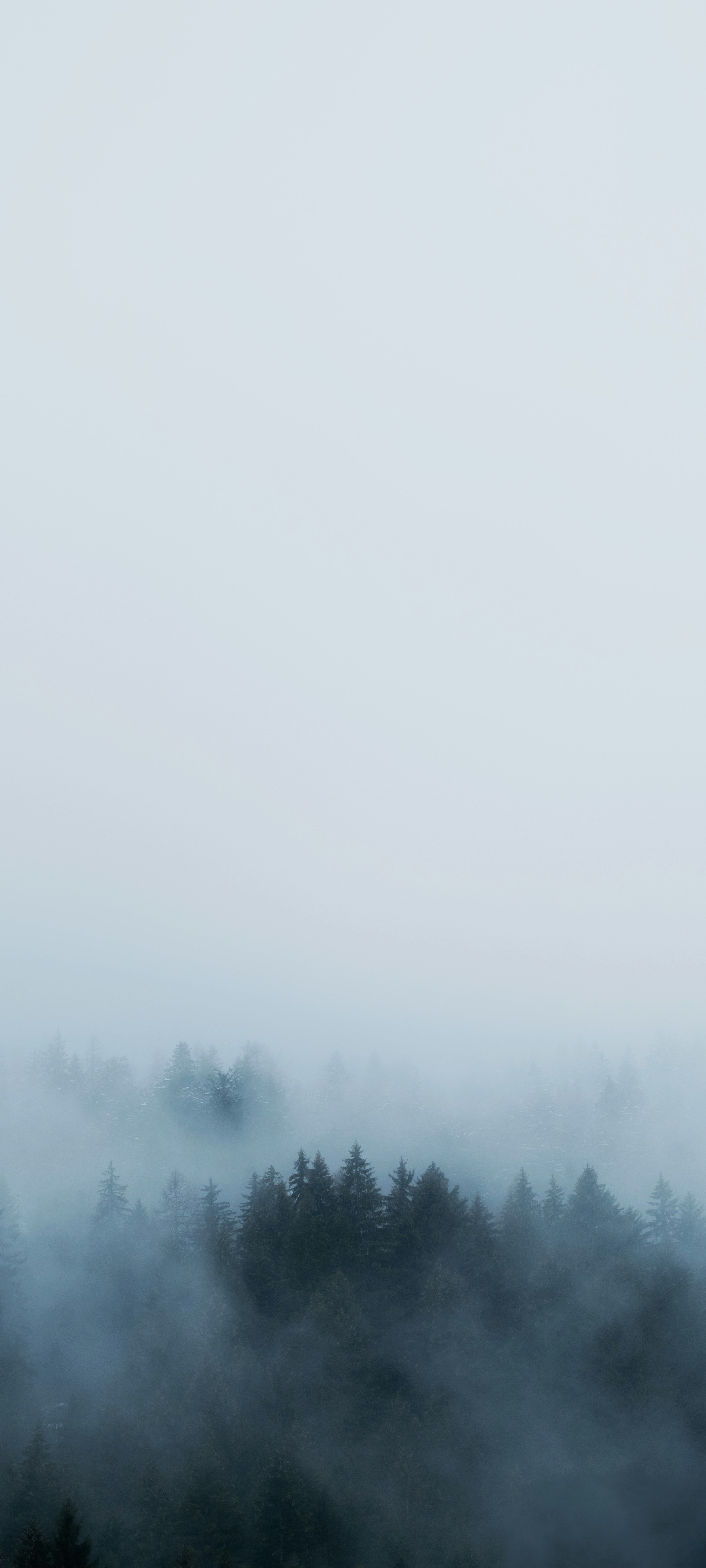 Wallpaper Weekly 31 2025 5