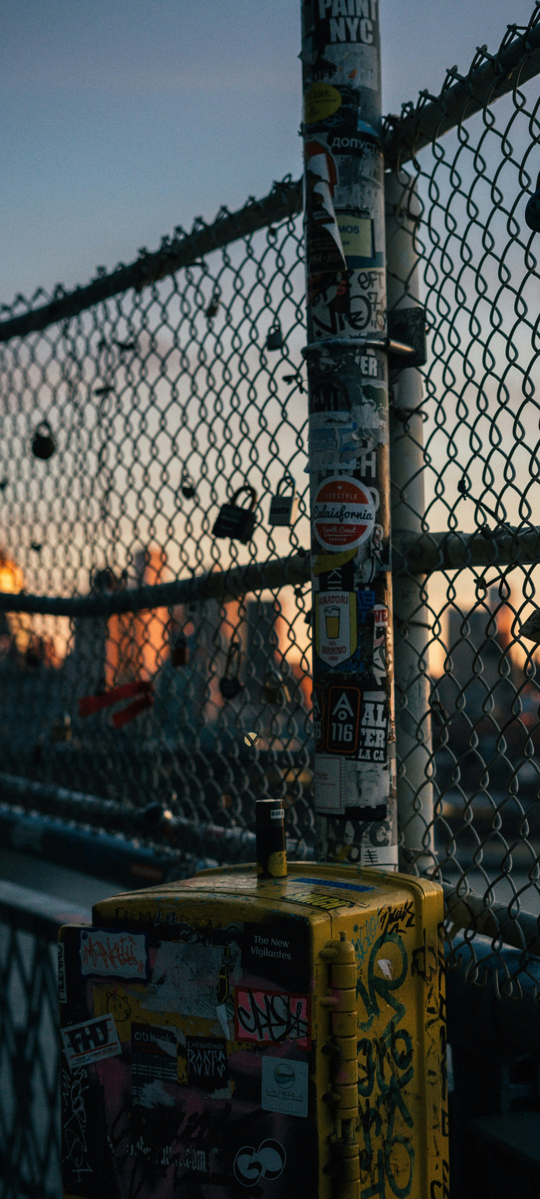 Wallpaper Weekly 31 2025 7