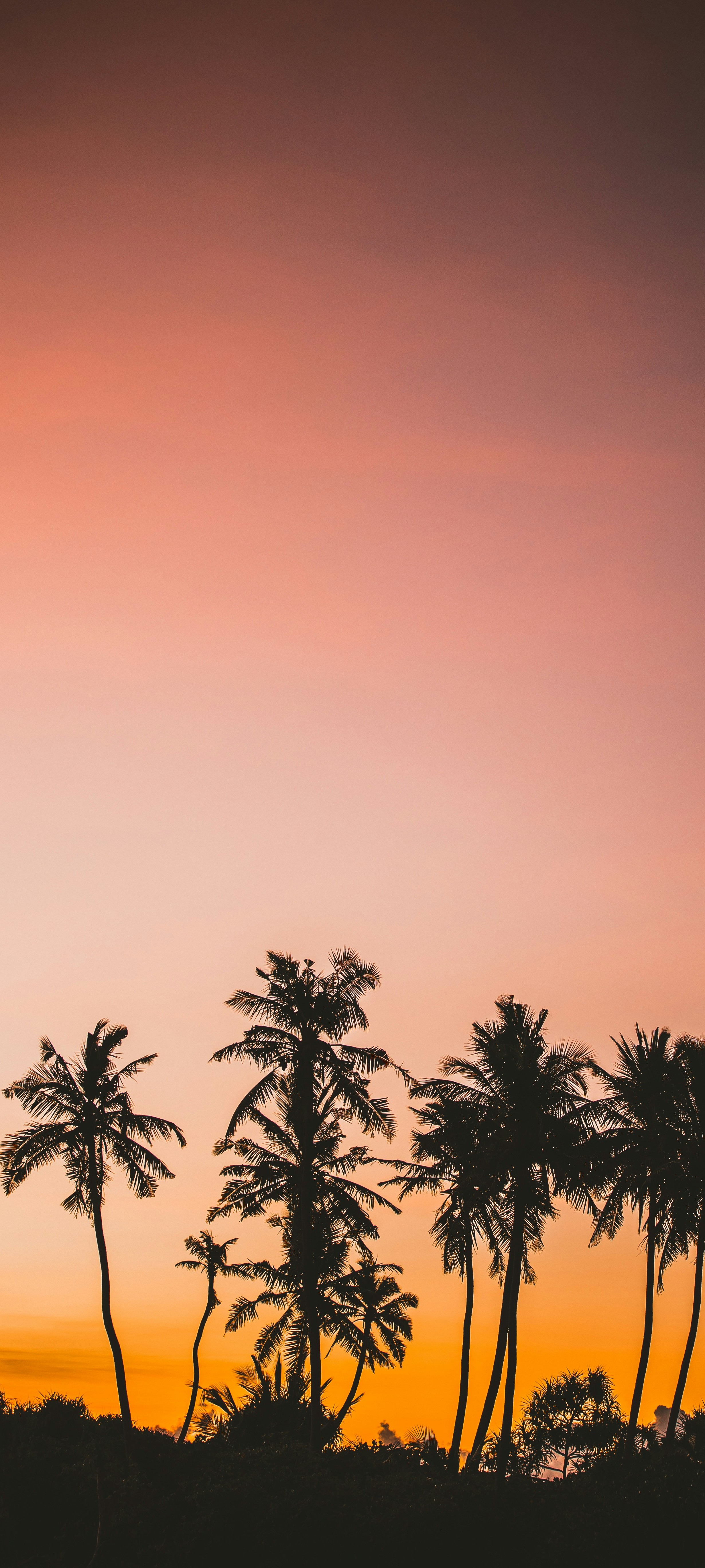 Wallpaper Weekly 31 2025 9