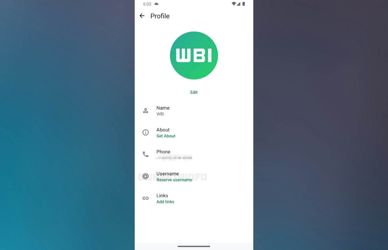 WhatsApp gets usernames (which is more important than you think)